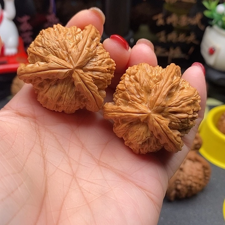 核桃39拼接白狮子