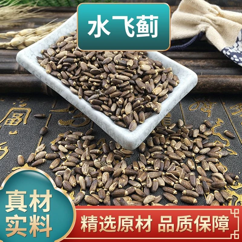 叶主任推荐 盘锦水飞蓟 可搭配赶黄草（已开价）