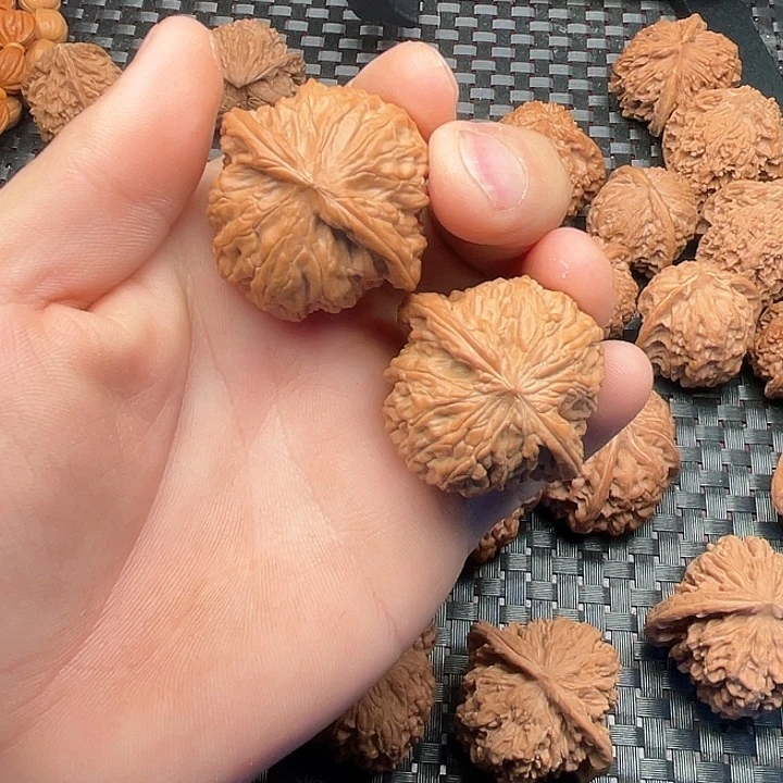 大叶紫檀（黑酸枝木类）