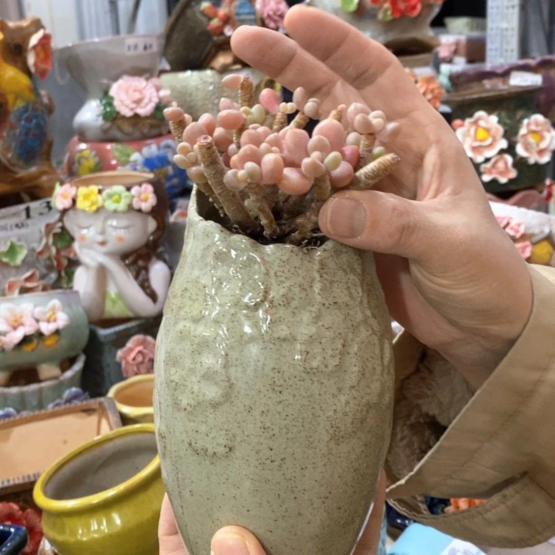 福利福利福利福利