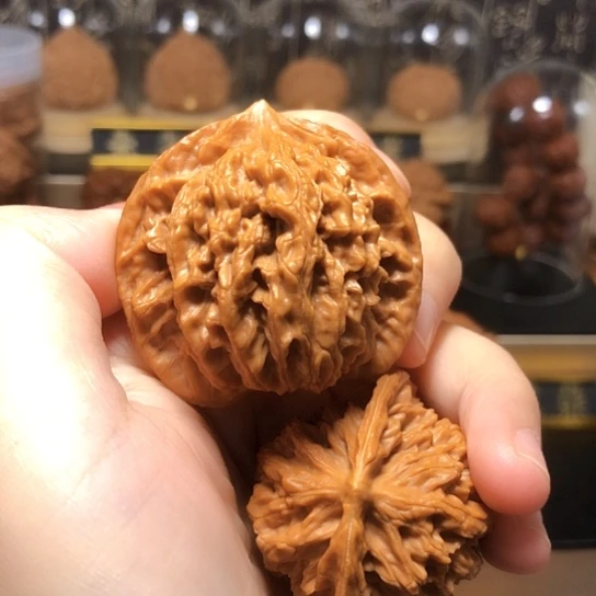 福利：老款狮子头