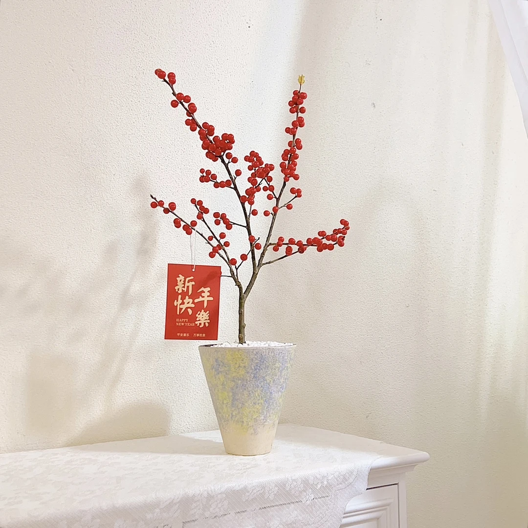 进口北美冬青红果耐寒耐热年宵花卉带果发货盆栽带果发货寓意好