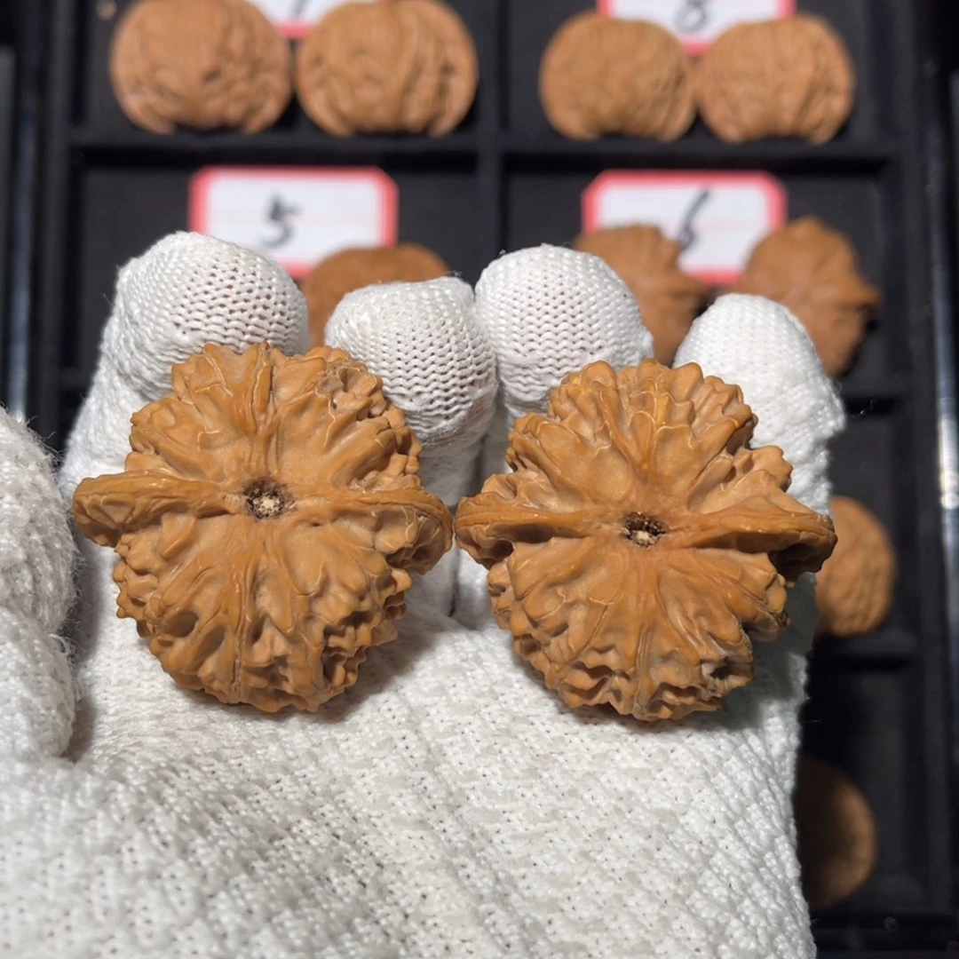 那***电吊坠文玩核桃03秦皇岛山地果全品