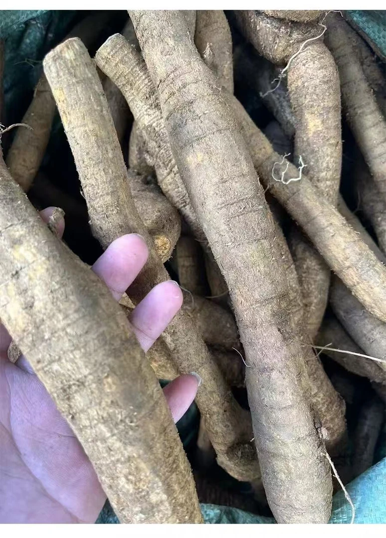 新鲜牛大力粉质大力薯煲汤泡酒甘甜