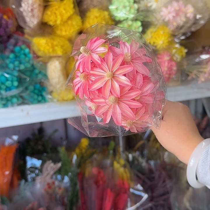 完全开放文心兰深粉1束