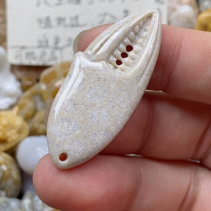 颈饰未镶嵌硅化珊瑚（珊瑚玉）A****y