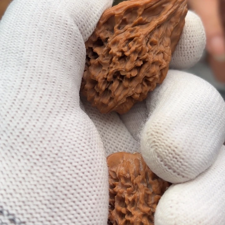 文玩核桃把件一**阳鸭嘴78