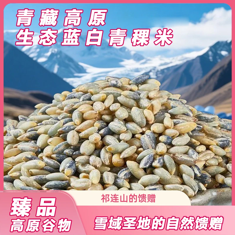特惠装【蓝白青稞米】青藏高原优选五谷粗粮养生低糖低GI煮粥焖饭