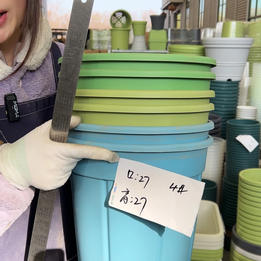 瑕疵南瓜盆4#混色6个无托