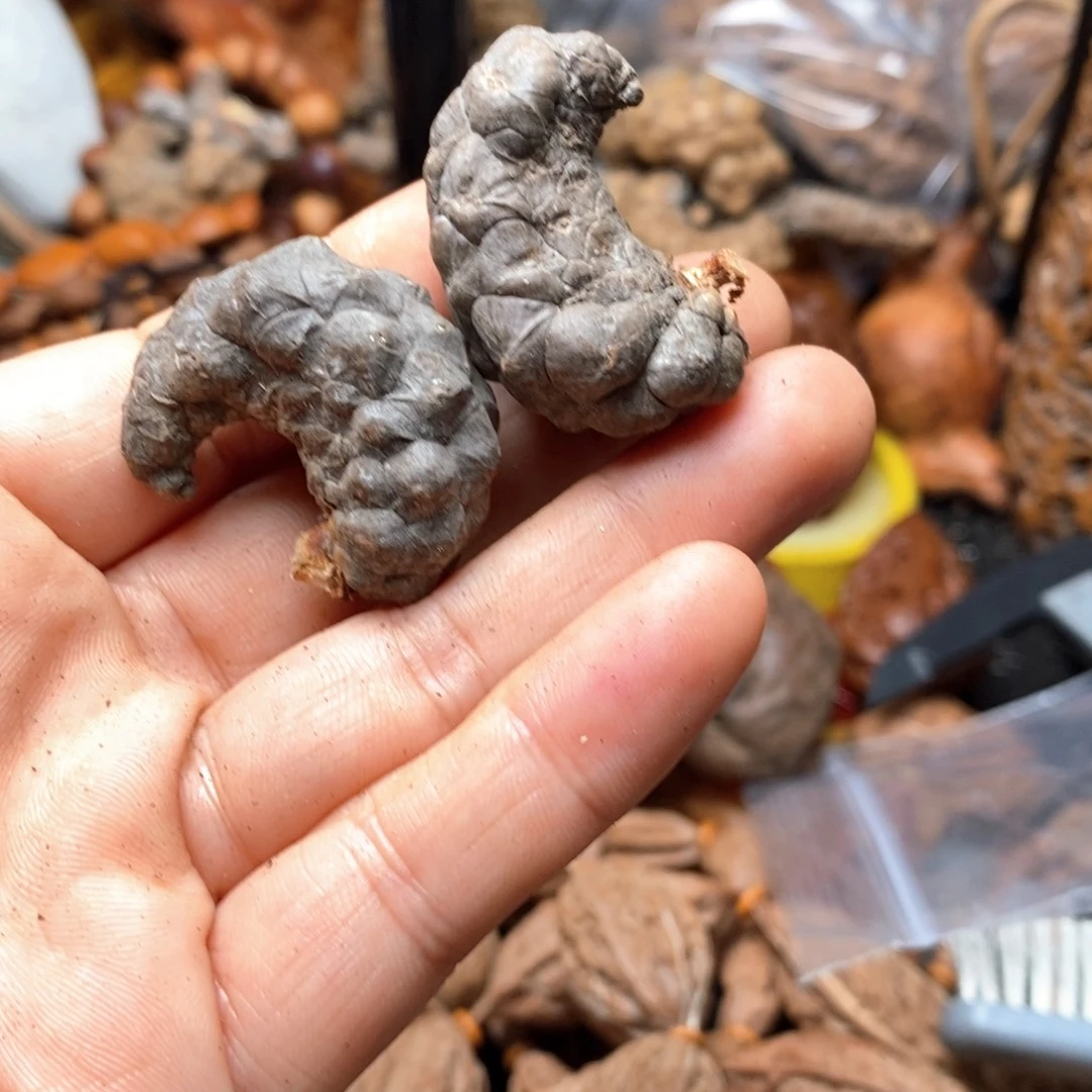 文玩核桃吊坠核桃109