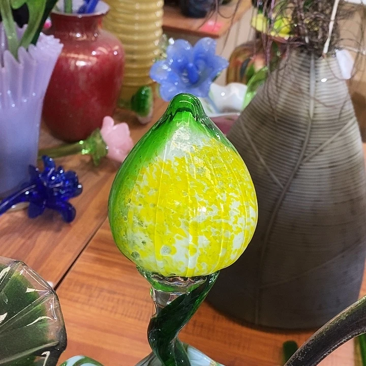 夜光花高45厘米宽12厘米