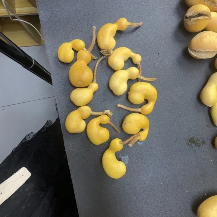 幸***猪哈哈哈哈哈哈哈哈哈哈哈哈哈
