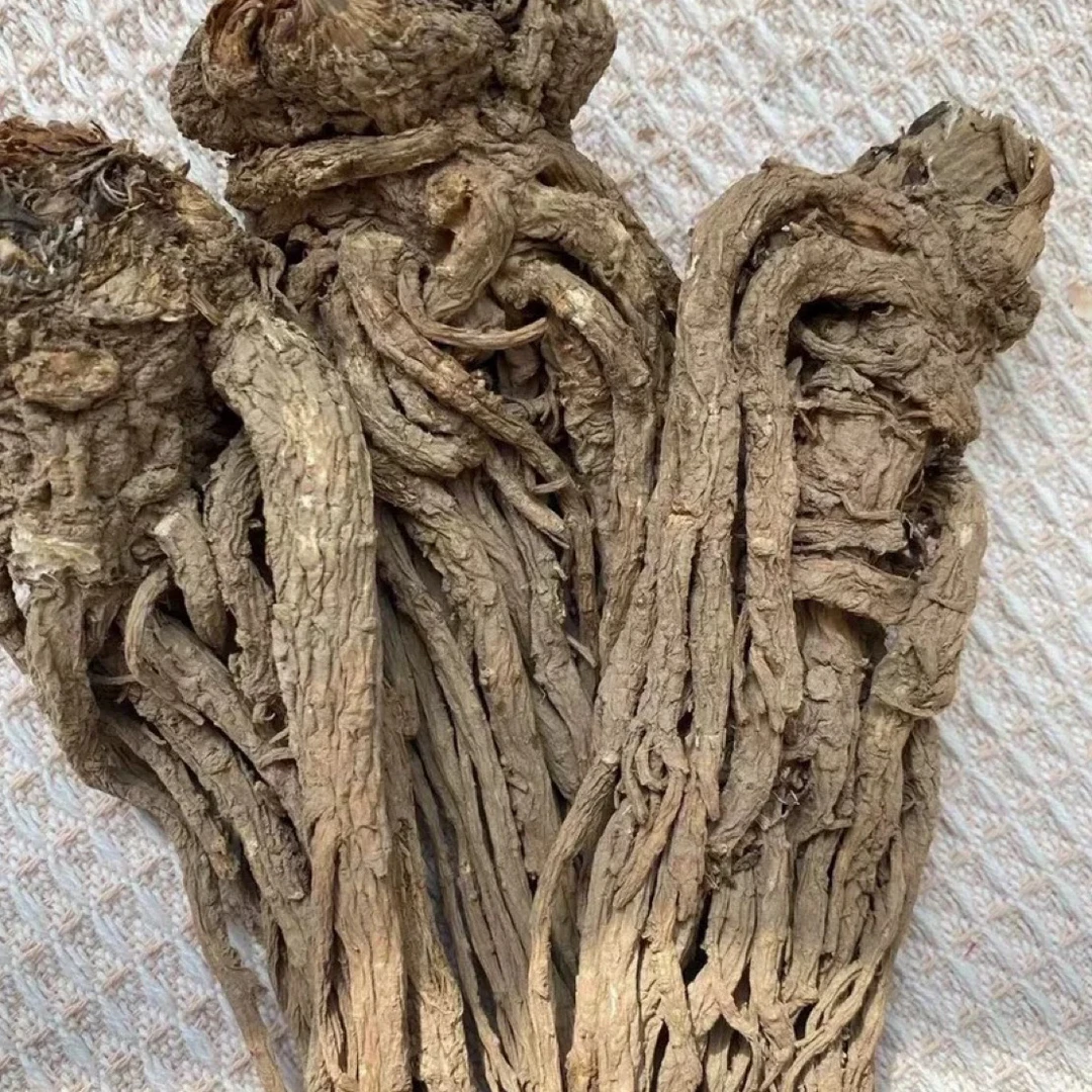 湘西农家正宗无熏无硫当归