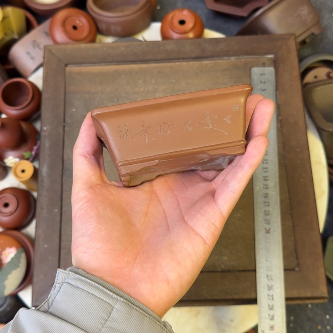 鲸****泥塑10+6+3.5vvvvvvvvvvvvv