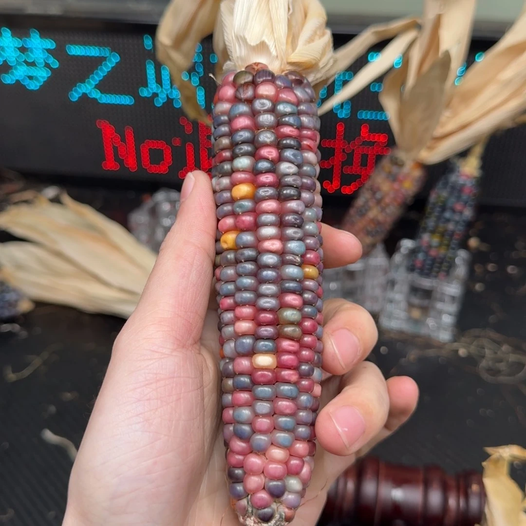 柏香籽/百香籽吊坠?*合