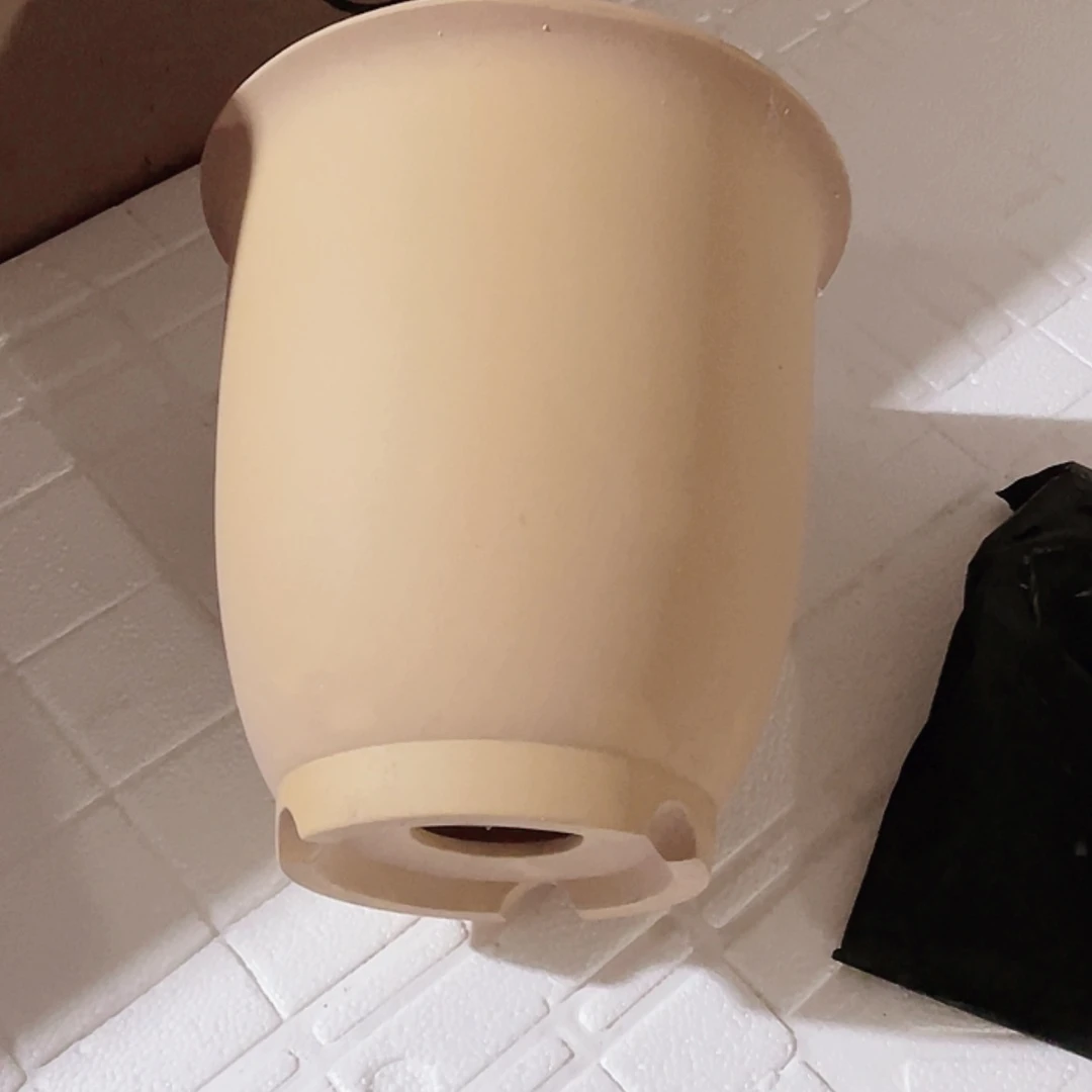 【闪购商品】紫砂花盆空**兰兰花643464646466467676