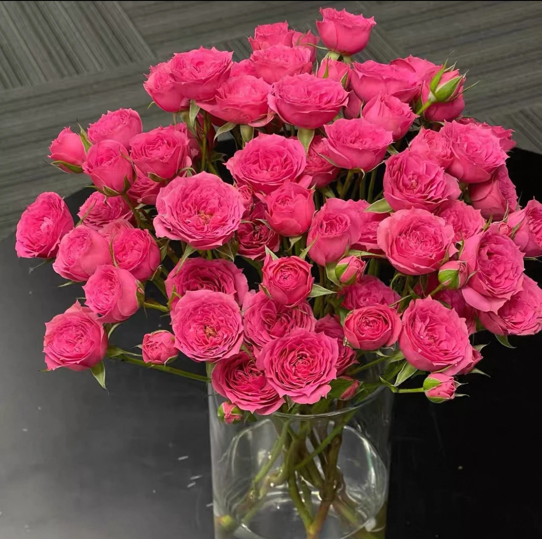 新疆西藏甘肃拉萨三单共用一个运费苏菲玫瑰云南鲜花