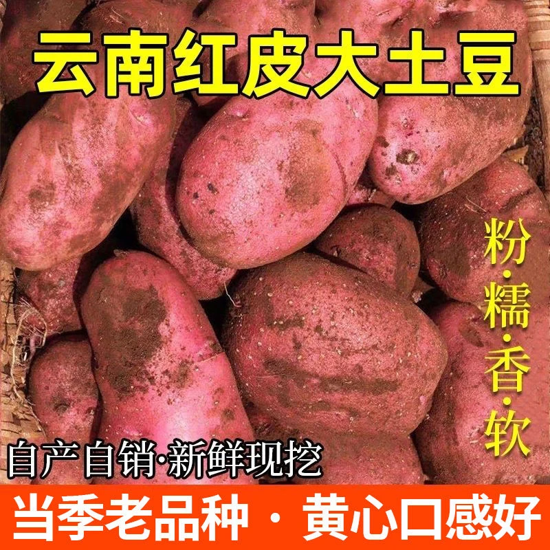 云南新鲜现挖红皮黄心沙面土豆山地洋芋整箱批发