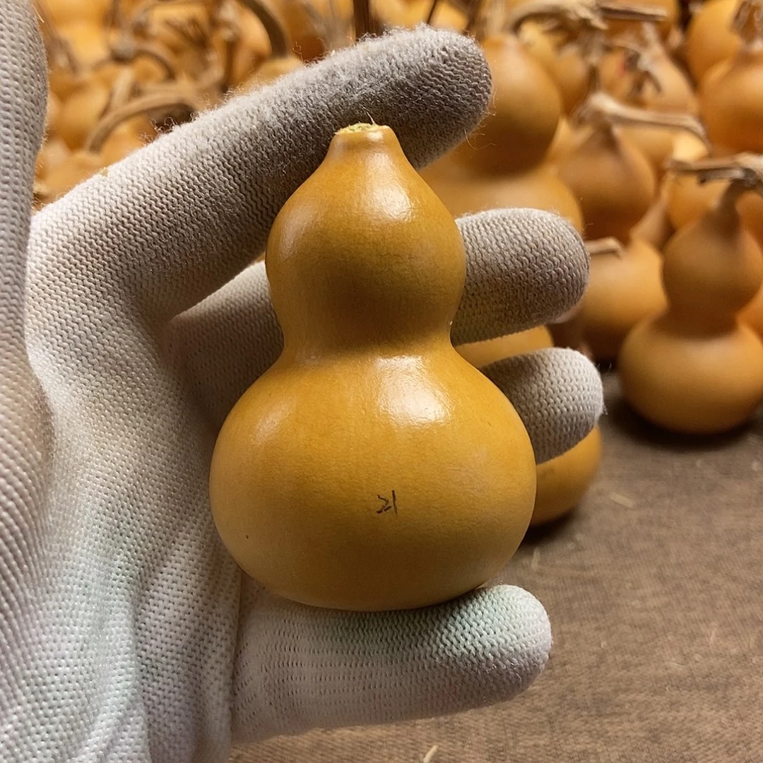 文玩葫芦 完美主义者 慎拍21