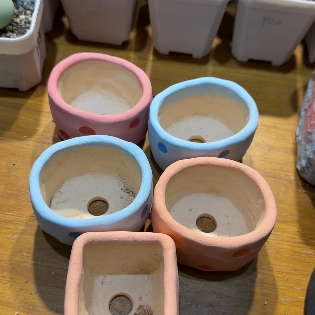 红陶M**雪当然当然当然当然