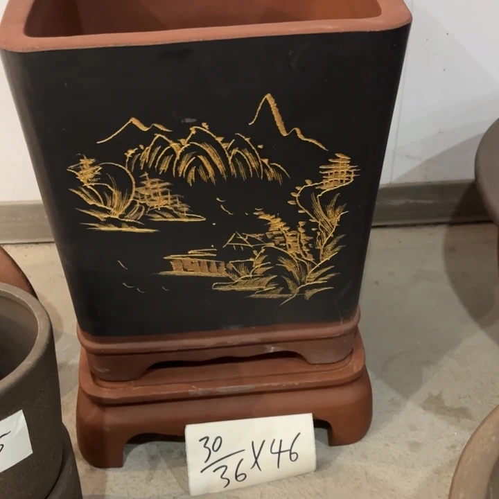 花盆紫砂紫砂的花