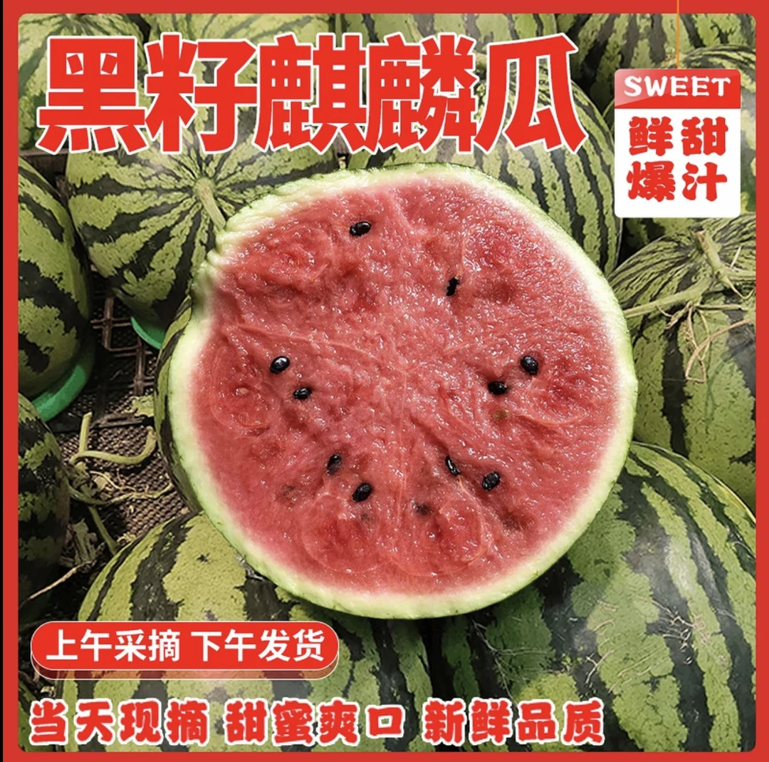 农家自种现摘麒麟瓜有籽薄皮脆甜多汁当季新鲜水果