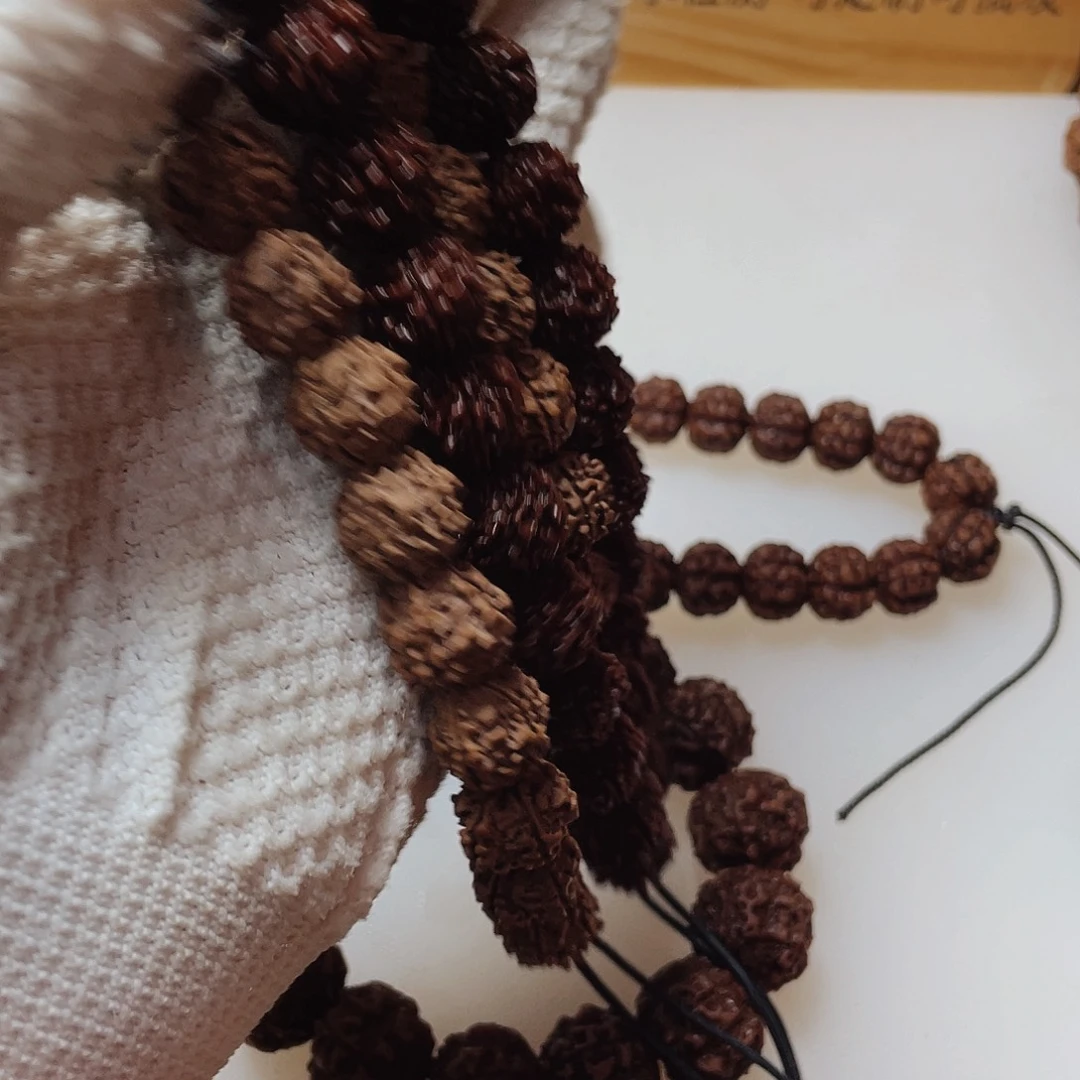 吊坠金刚菩提15尺寸野生籽