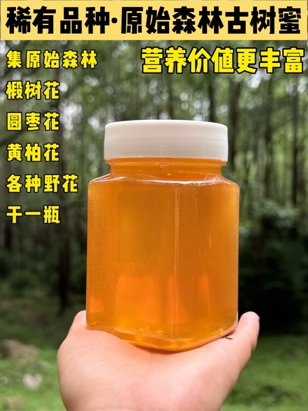 稀有品种·原始森林野生古树蜜会结晶(椴树、黄柏、元枣、各类野花)