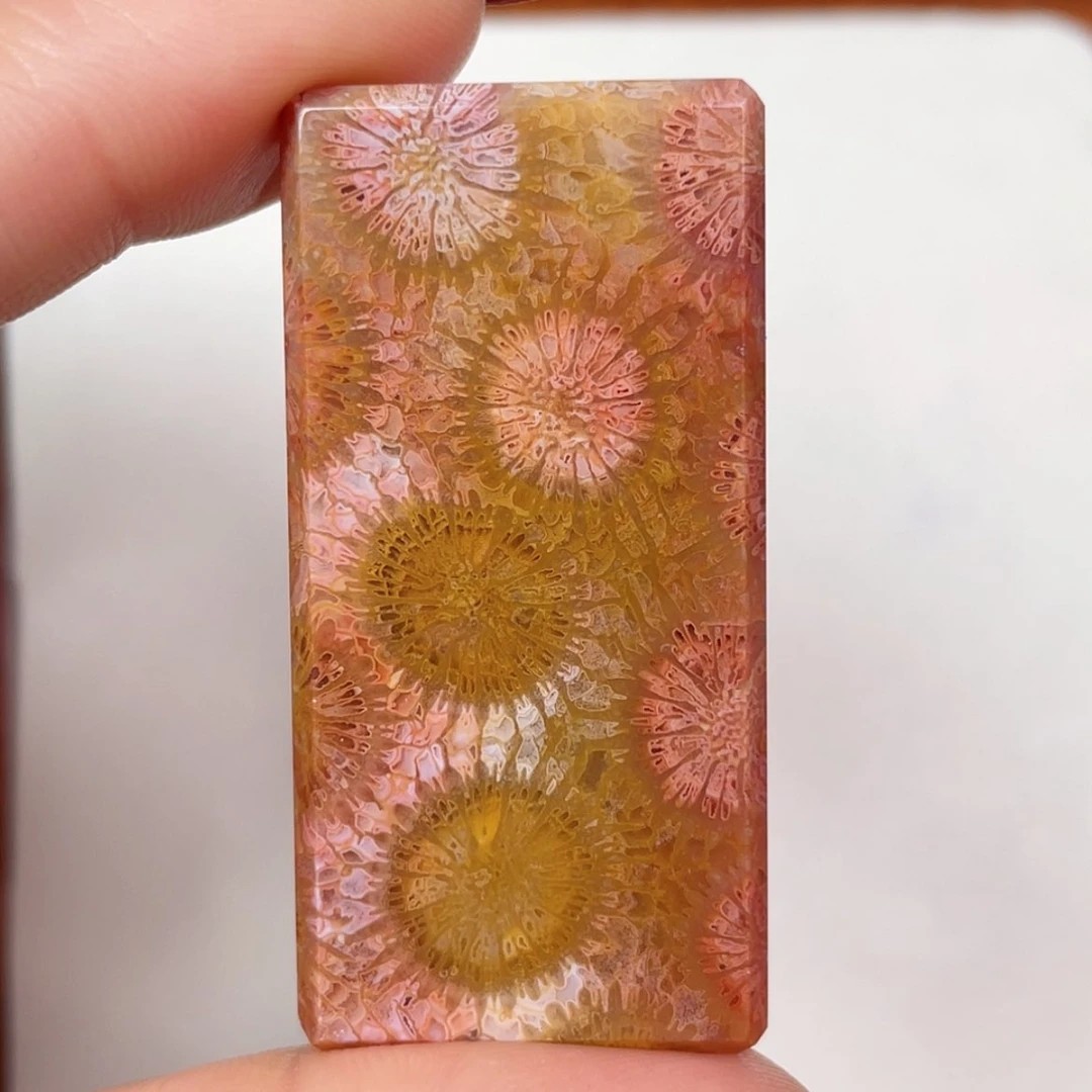 【闪购商品】未镶嵌吊坠(赠链)硅化玉