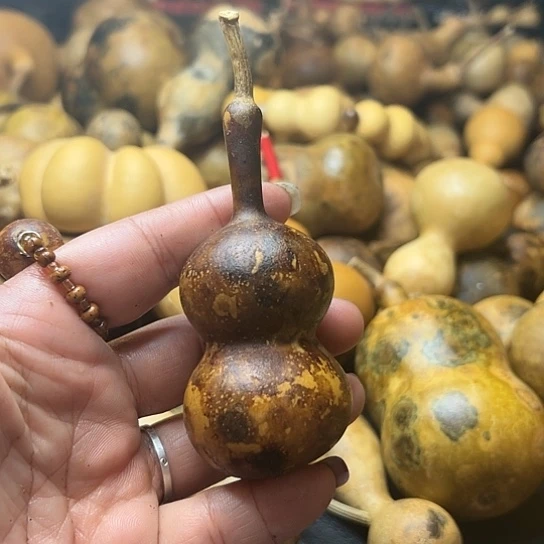 二*月葫芦葫芦葫芦葫芦