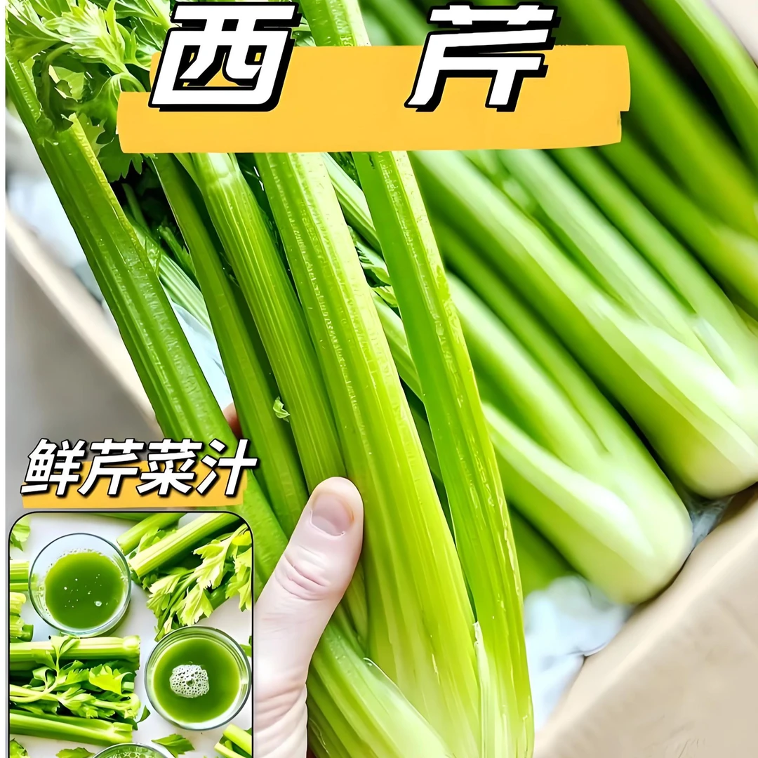 【精品现挖西芹】新鲜小西芹脆嫩多汁香气浓郁芹菜榨汁清炒做法多