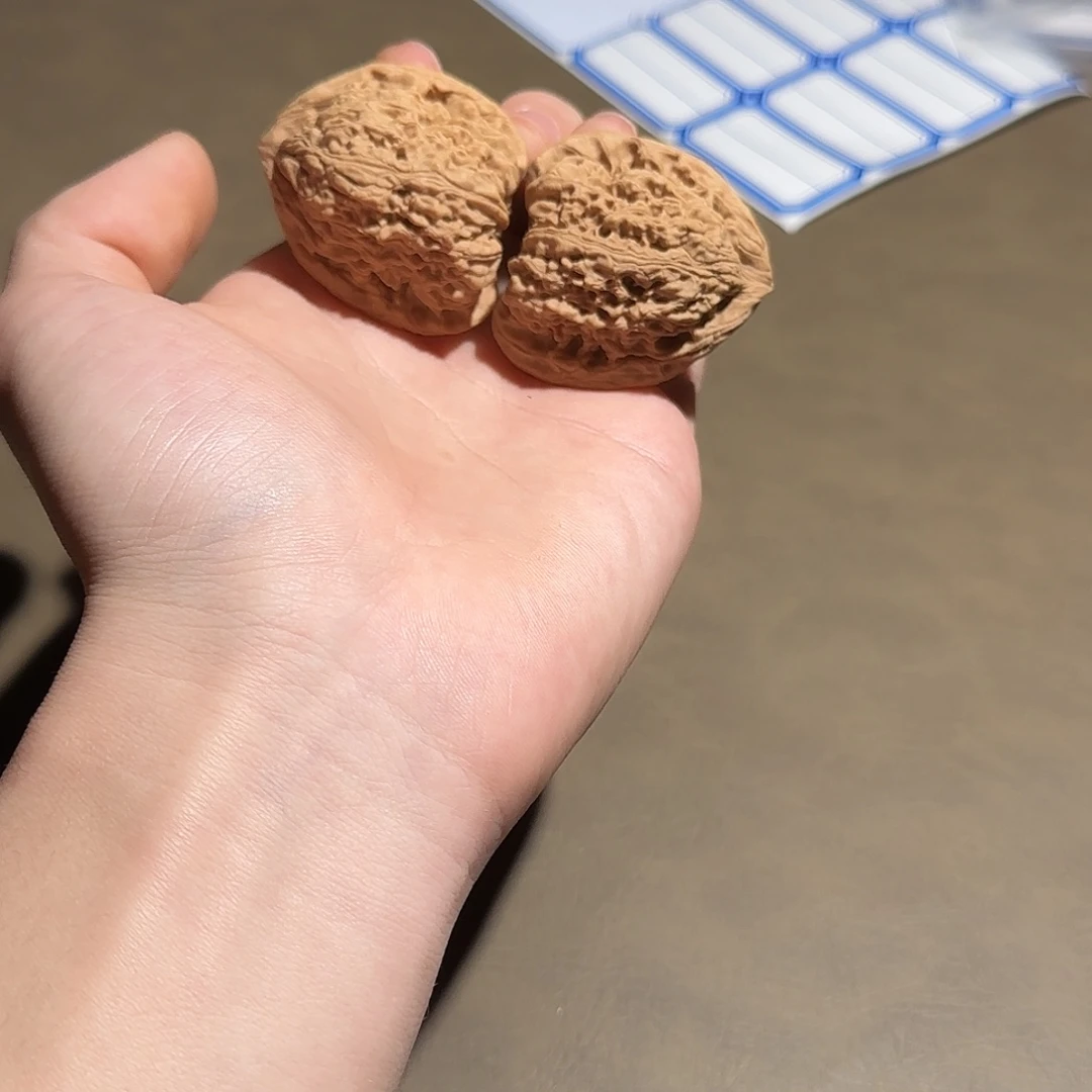 核桃41尺涿鹿山地南疆