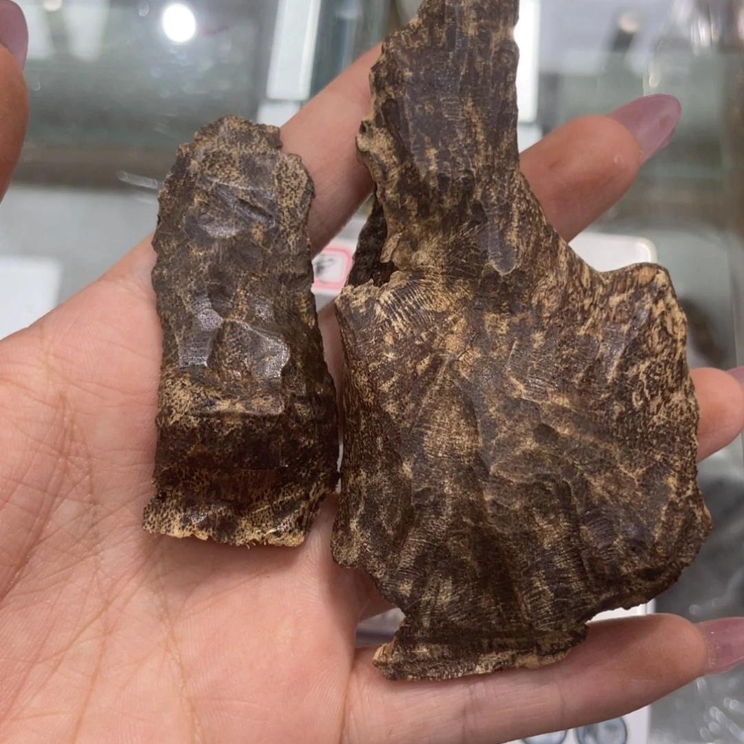 香榧木海南保亭淳化包壳10g
