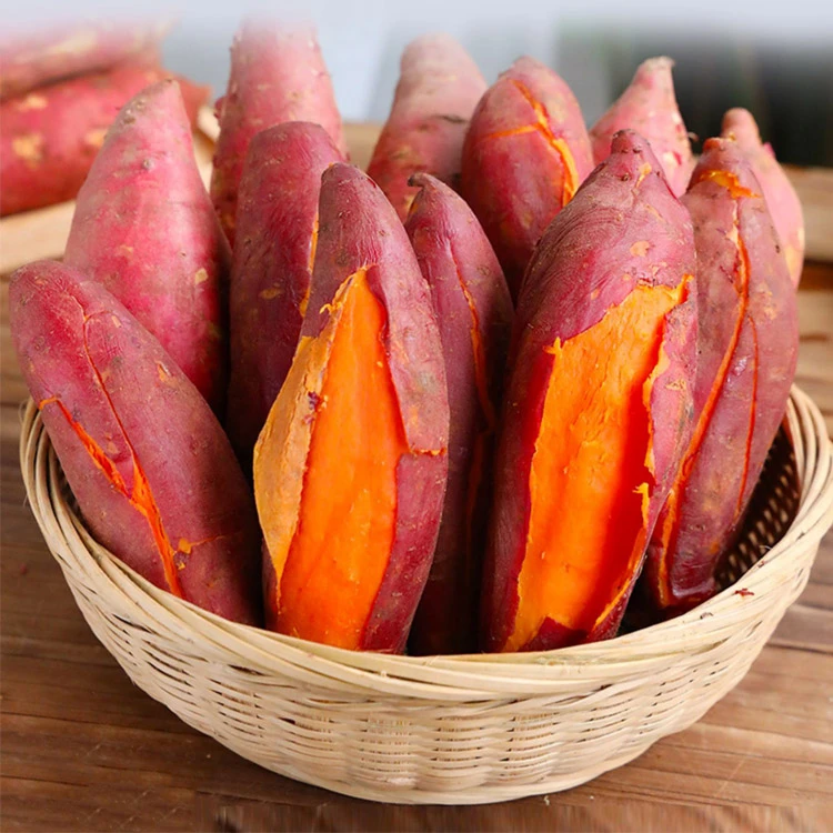 西瓜红软糯番薯红薯沙地红蜜薯生鲜食品4.5斤（多仓发货南宁中转）