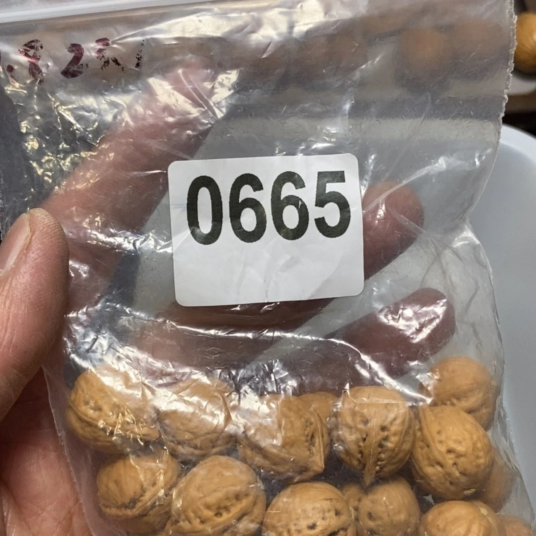 文玩核桃吊坠闲**鹤秋子