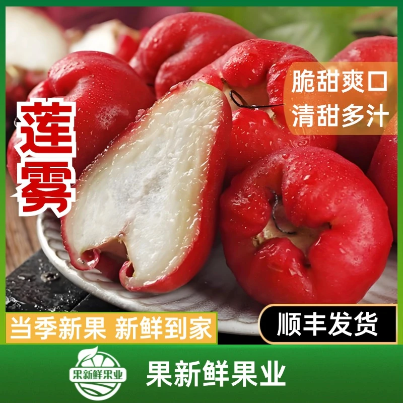 【莲雾】（约1斤毛重）清甜多汁脆甜爽口新鲜应季顺丰包邮送货上门