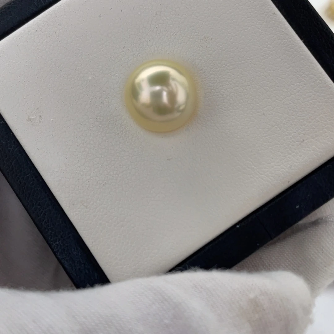 海水珍珠裸珠金珠干枯玫瑰12.3mm