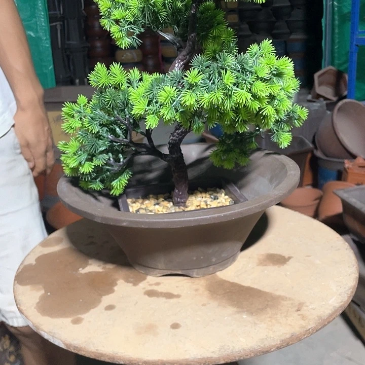 31斗盆花盆花盆花盆