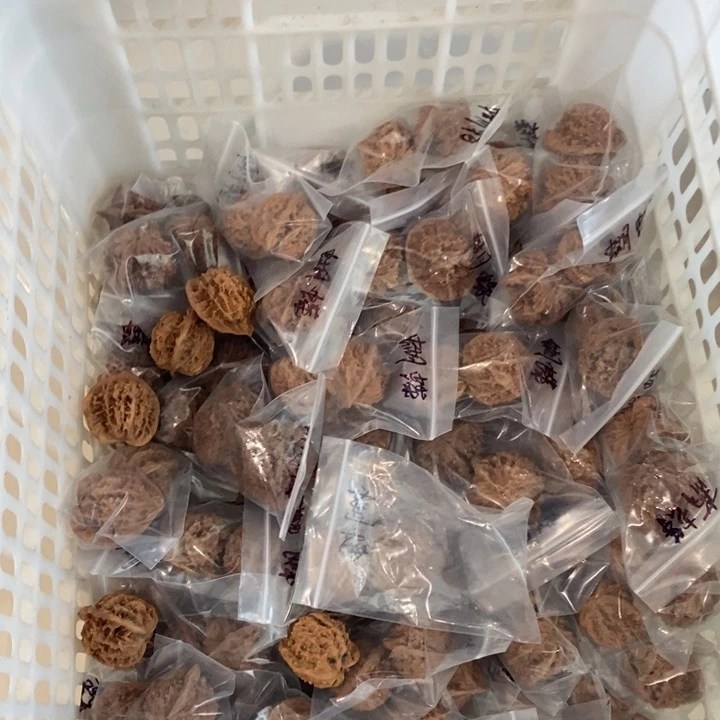 吊坠文玩核桃蝴蝶红