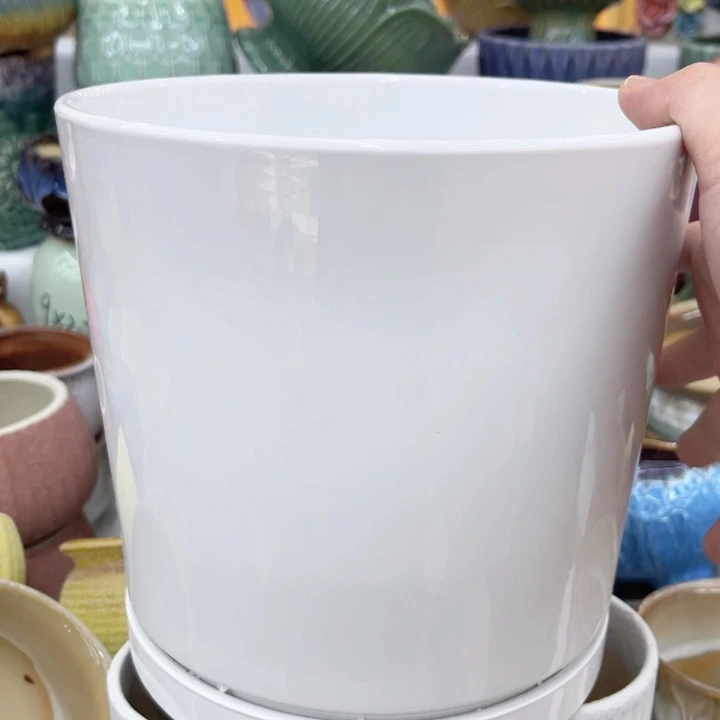 多肉植物陶瓷花盆