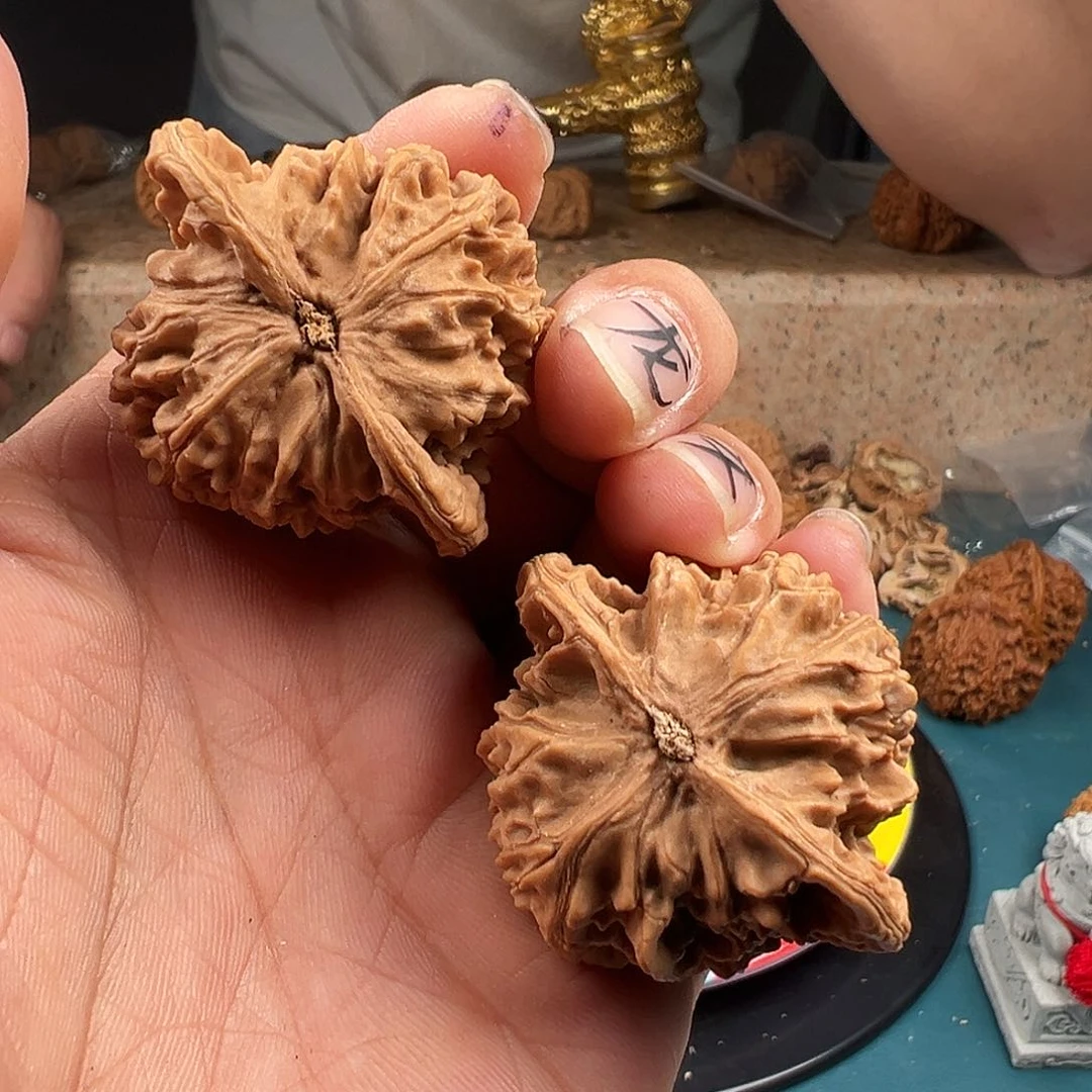 桃核吊坠大尺寸盘龙纹儿狮子头随机发