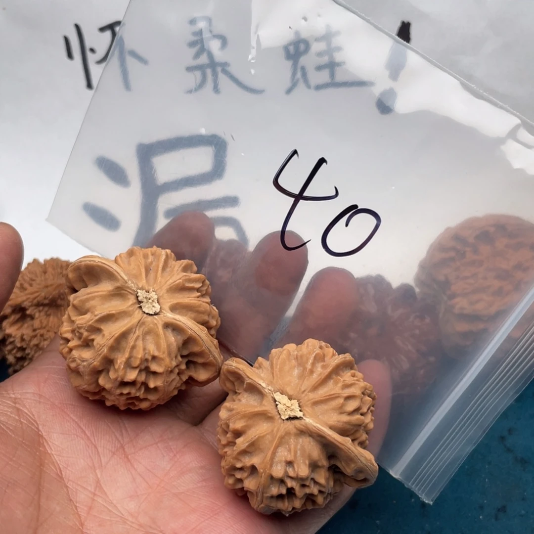 核桃537735357573375753