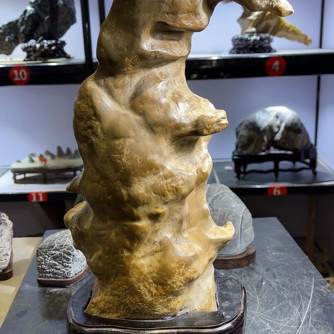 紫砂我是一个非常重要任务朵****）