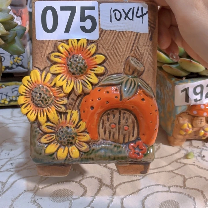 多肉花盆满15包邮