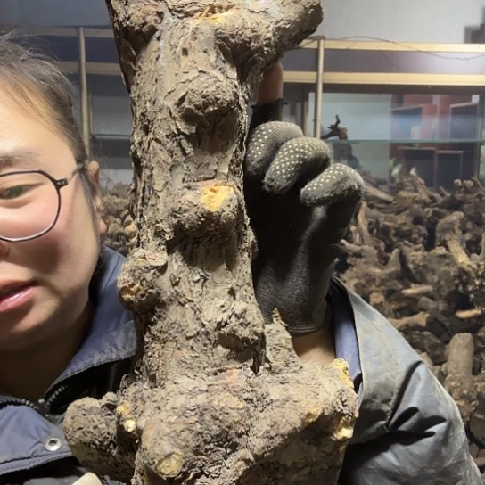 香榧木老****装火琉璃的毛料