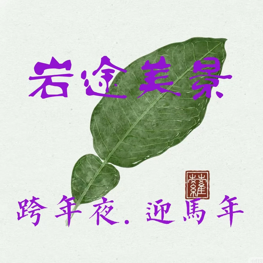 岩途美景，茶叶2泡