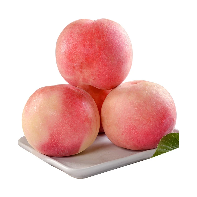 【现货现摘】正宗水蜜桃桃子新鲜水果包邮ws