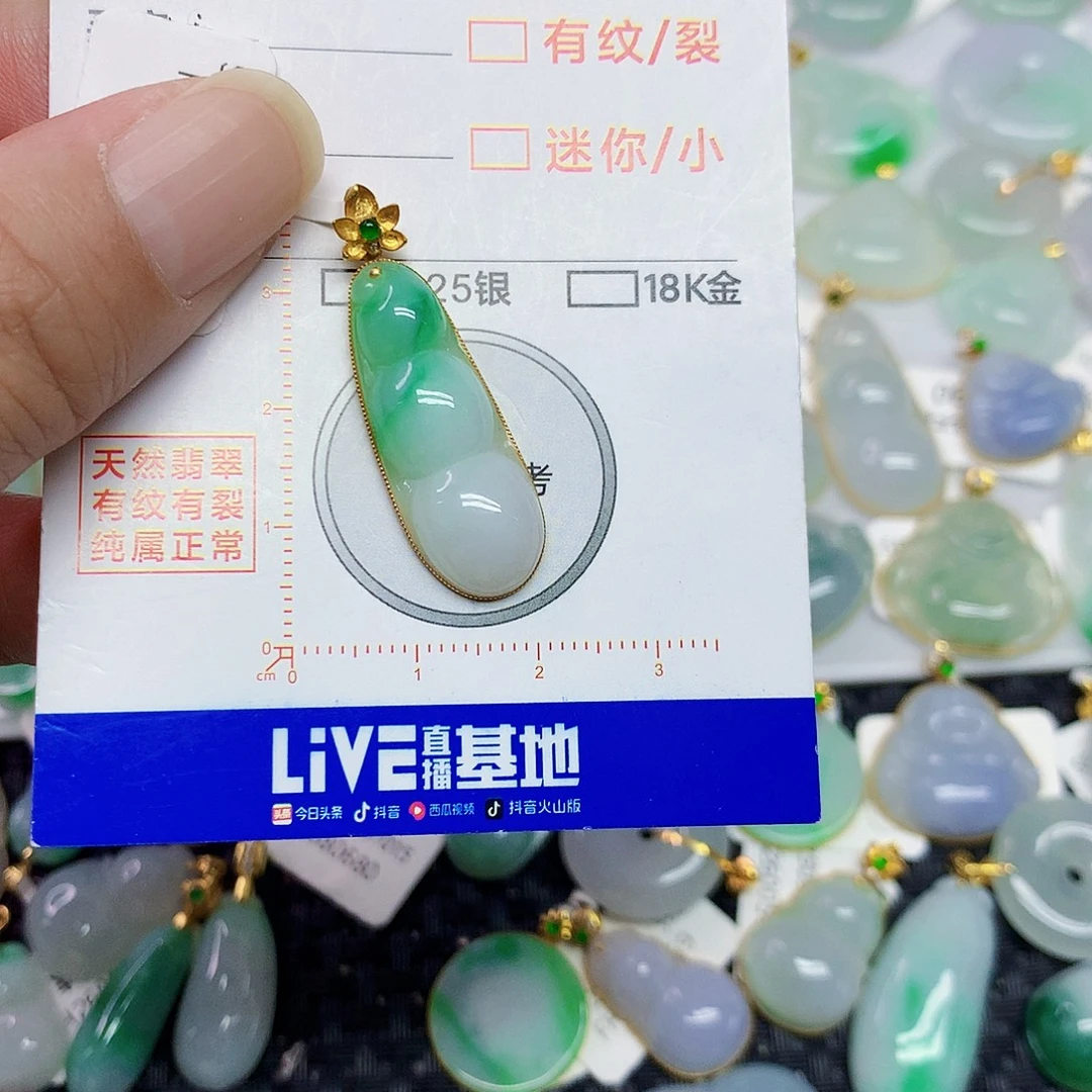 翡翠18K金镶嵌颈饰豆子