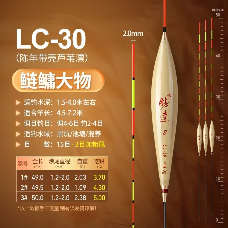 大物专用浮漂超长行程高灵敏度芦苇黑坑休闲野钓混养