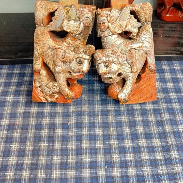 核桃木/黑胡桃（胡桃木）播**新